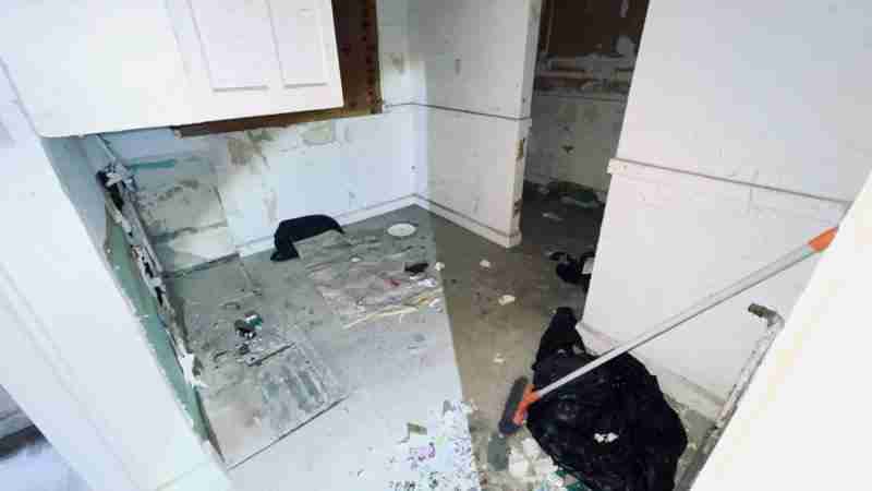 4519267_0046 (2).jpg